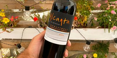 보데가스 보코파 와이너리(보데가스 보코파)